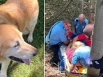 Pennsylvania pooch hailed as ‘hero’ for saving life of owner who plunged 20 feet (Ross West View EMSA/Facebook) Pennsylvania pooch hailed as ‘hero’ for saving life of owner who plunged 20 feet (Ross West View EMSA/Facebook)