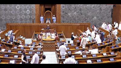 A private member or a lawmaker who is not a minister can bring a resolution or a bill. (HT PHOTO) A private member or a lawmaker who is not a minister can bring a resolution or a bill. (HT PHOTO)