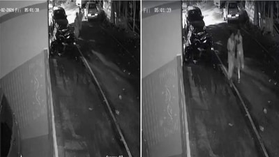 On camera, Bengaluru woman molested by a man while returning from morning walk. Accused yet to be arrested (X/@Ashutos59663780) On camera, Bengaluru woman molested by a man while returning from morning walk. Accused yet to be arrested (X/@Ashutos59663780)