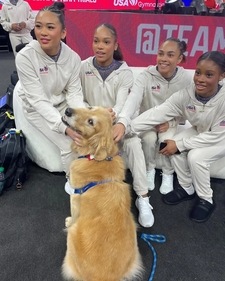 Beacon, the therapy dog Beacon, the therapy dog