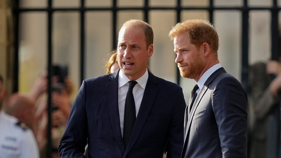 Prince William ‘spitting mad’ at Prince Harry for 'cashing in on Diana's death' (AP Photo/Martin Meissner, File)(AP)