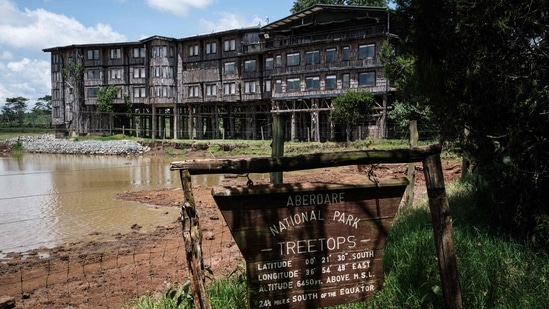 A wooden board shows the name of Treetops Lodge where Britain's Queen Elizabeth II of England stayed the night her father, the King, died and became Queen in 1952, in Aberdare Narional Park in Nyeri, Kenya, on April 10, 2021. Kenya: Historic Treetops hotel reopens after Covid, welcomes tourists once more (Photo by Yasuyoshi CHIBA / AFP)