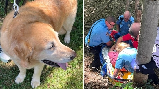 Pennsylvania pooch hailed as ‘hero’ for saving life of owner who plunged 20 feet (Ross West View EMSA/Facebook)