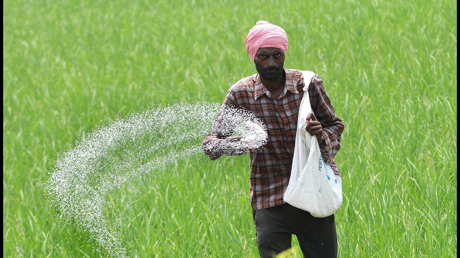 Punjab using 76% more fertiliser per hectare than national average: Govt in Rajya Sabha