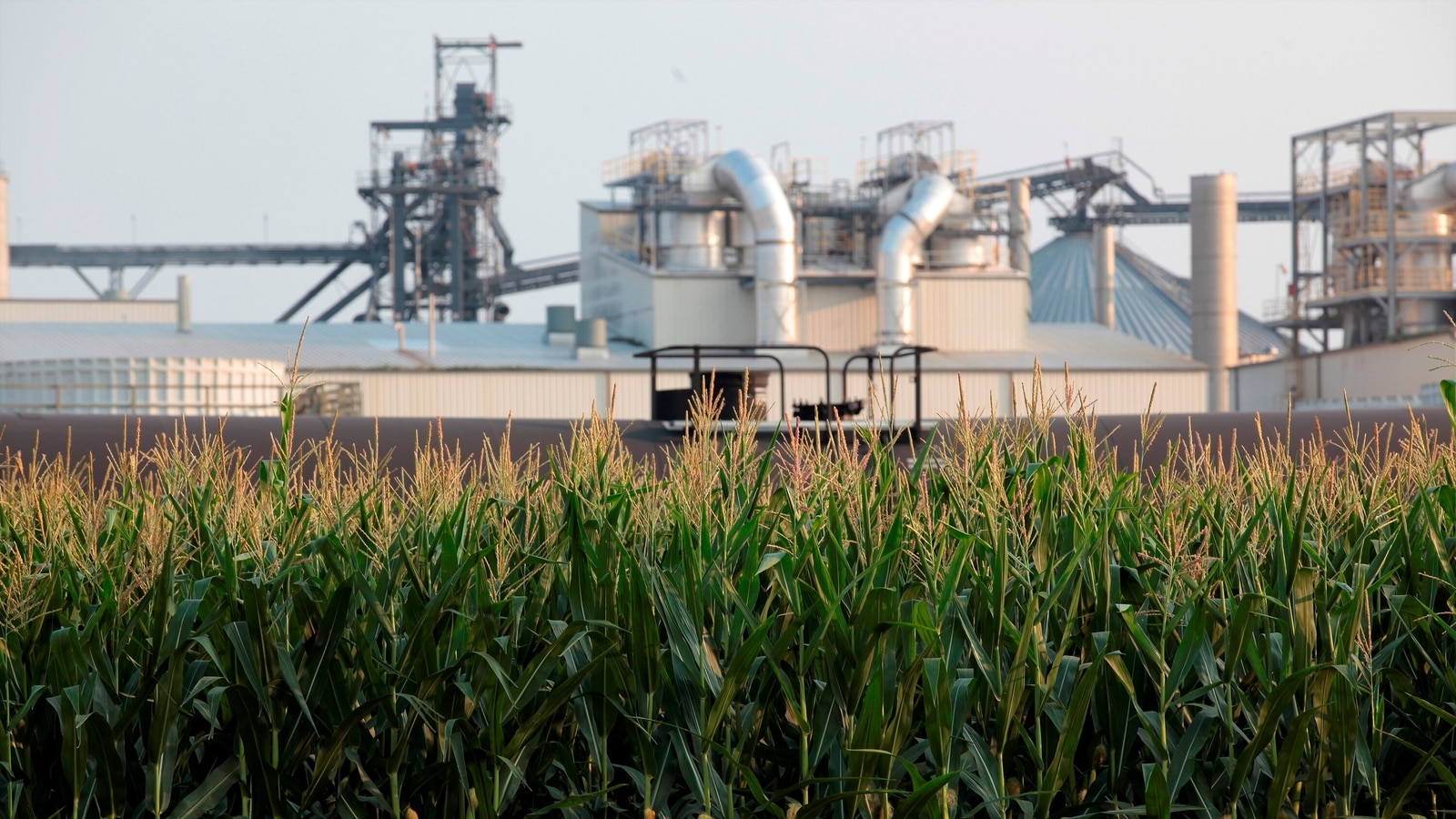 Ethanol: Catalyst for a sustainable future