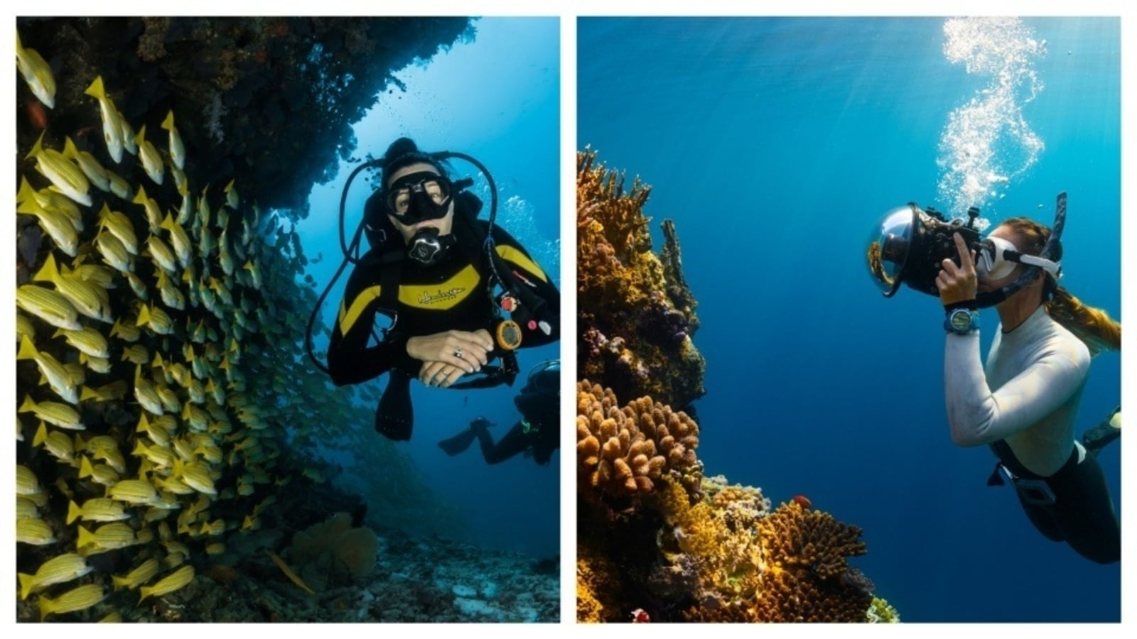 International Scuba Diving Day: Best places to take a dive and make friends under the sea