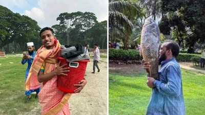 Bangladesh protesters looted Sheikh Hasina's official residence, carrying out furniture and even fish from the kitchens. (X) Bangladesh protesters looted Sheikh Hasina's official residence, carrying out furniture and even fish from the kitchens. (X)