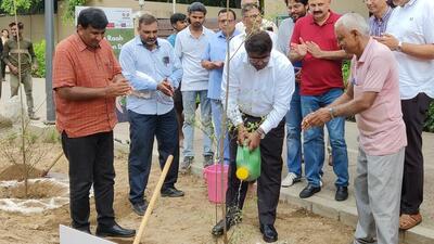 Over 50 trees & 500 shrubs were planted to further beautify & enhance the utility of this corridor. (GMDA-Twitter) Over 50 trees & 500 shrubs were planted to further beautify & enhance the utility of this corridor. (GMDA-Twitter)