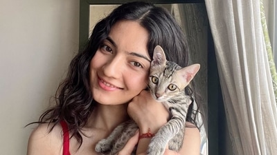 Pratibha Ranta has adopted two cats Pratibha Ranta has adopted two cats