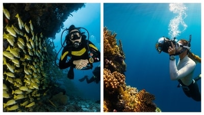 Scuba dive and explore the mysterious underwater life (Unsplash) Scuba dive and explore the mysterious underwater life (Unsplash)