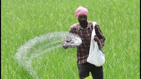 India imported 18.65 lakh tonne urea and 22.58 lakh tonne phosphatic and potassic (P&K) fertilisers from China during 2023-24, the government added. (HT File)