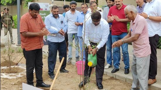 Over 50 trees & 500 shrubs were planted to further beautify & enhance the utility of this corridor. (GMDA-Twitter)