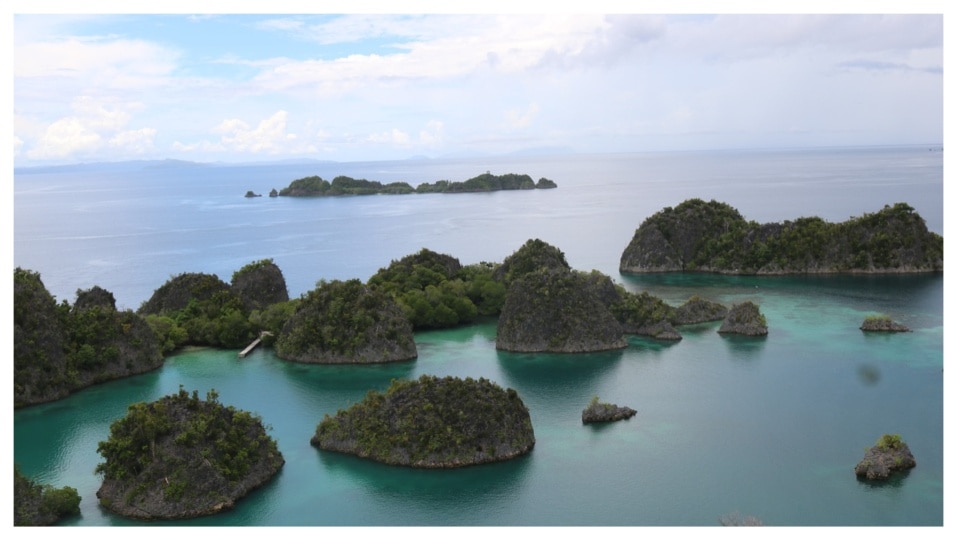 Raja Ampat has four main islands Waigeo, Batanta, Salawati, and Misool. 