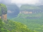 At 2,515 villages, state’s eco-sensitive area up 17% At 2,515 villages, state’s eco-sensitive area up 17%