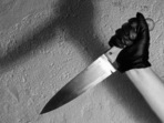 Her daring act gave her neighbours enough time to intervene and rescue. (HT File) Her daring act gave her neighbours enough time to intervene and rescue. (HT File)