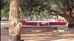 An open are in the university campus. (Visva-Bharati University) An open are in the university campus. (Visva-Bharati University)