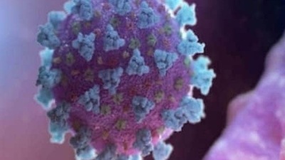 Long Covid: New insights into symptoms, mechanisms and treatment prospects (File Photo by REUTERS) Long Covid: New insights into symptoms, mechanisms and treatment prospects (File Photo by REUTERS)