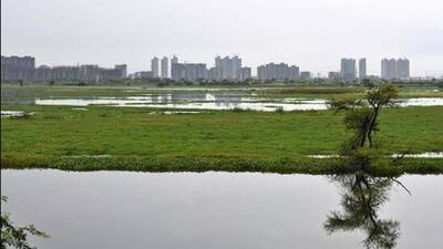 Information about ponds and lakes with an area of 2.25 hectares or more has been received from authorities, said divisional forest officer PK Srivastava. (HT Photo) Information about ponds and lakes with an area of 2.25 hectares or more has been received from authorities, said divisional forest officer PK Srivastava. (HT Photo)