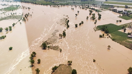 Kumaon, Jul 09 (ANI): The Haldwani, Banbasa, Tanakpur, Sitarganj, Khatima and other flood affected areas (ANI Photo)(ANI Picture Service)