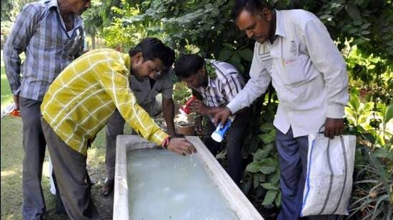 Health department officials check for mosquito larvae on premises of both public and private entities on Wednesday. (HT Photo)