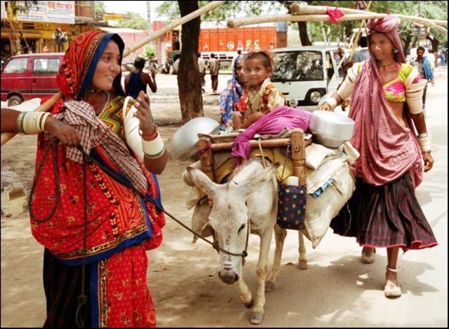 Members of the nomadic Banjara tribe on the move. The Banjaras, like the Bhantus, were labelled criminal tribes by the colonial government. (Arvind Yadav) Members of the nomadic Banjara tribe on the move. The Banjaras, like the Bhantus, were labelled criminal tribes by the colonial government. (Arvind Yadav)