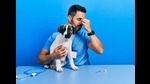 According to the residents, they admitted a stray canine named ‘Tillu’ to the civic-run veterinary hospital on July 17 for an eye problem. (REPRESENTATIVE PIC) According to the residents, they admitted a stray canine named ‘Tillu’ to the civic-run veterinary hospital on July 17 for an eye problem. (REPRESENTATIVE PIC)