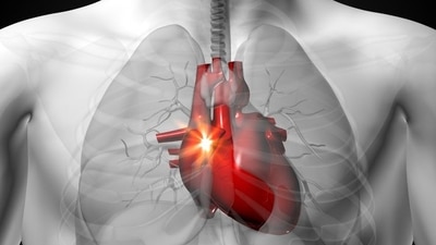 Spotting signs of heart valve disease: Causes, types and path to treatment (File Photo) Spotting signs of heart valve disease: Causes, types and path to treatment (File Photo)