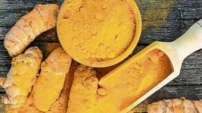 According to traders dealing in the industry, Bangladesh buys low-grade quality turmeric from Hingoli, Basmat and other Marathwada regions. (HT PHOTO) According to traders dealing in the industry, Bangladesh buys low-grade quality turmeric from Hingoli, Basmat and other Marathwada regions. (HT PHOTO)