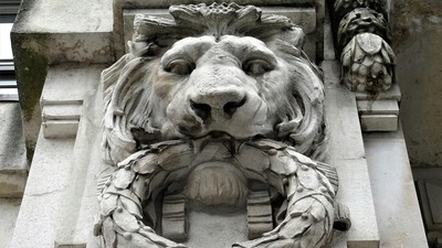Lion's gate portal 2024 manifestation guide for each zodiac sign. (Pexles) Lion's gate portal 2024 manifestation guide for each zodiac sign. (Pexles)