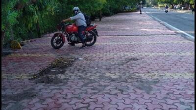 The petitioner alleged that “reckless, excessive and indiscriminate concretisation of roadsides and road berms” was being carried out in violation of NGT orders, government orders and relevant guidelines by Noida authority in Sector 28, 37, 47, 50, 55, and 62 in Noida and by Greater Noida Authority in Sector Omega1, Alpha, P3, of Greater Noida. (Ht Photo) The petitioner alleged that “reckless, excessive and indiscriminate concretisation of roadsides and road berms” was being carried out in violation of NGT orders, government orders and relevant guidelines by Noida authority in Sector 28, 37, 47, 50, 55, and 62 in Noida and by Greater Noida Authority in Sector Omega1, Alpha, P3, of Greater Noida. (Ht Photo)