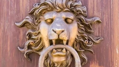 The Lion’s Gate Portal, peaking on August 8th, is a significant astrological phenomenon as the Sun’s transit in Leo resonates with the star Sirius, creating a powerful energy pathway. (Unsplash) The Lion’s Gate Portal, peaking on August 8th, is a significant astrological phenomenon as the Sun’s transit in Leo resonates with the star Sirius, creating a powerful energy pathway. (Unsplash)