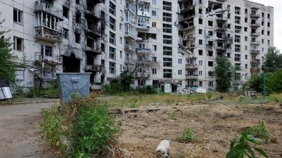 Heavy fighting was reported near the town of Sudzha, where Russian natural gas flows into Ukraine, raising concerns about a possible sudden stop to transit flows to Europe. (AFP) Heavy fighting was reported near the town of Sudzha, where Russian natural gas flows into Ukraine, raising concerns about a possible sudden stop to transit flows to Europe. (AFP)