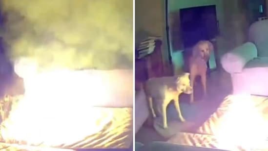 The image shows a dog causing a mini explosion, setting the house on fire after chewing a battery. (Tulsa Fire Department)