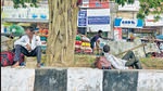 Many scenes of GB Road are also the scenes of any other place in the capital--cars, bikes, bullock carts. (HT Photo) Many scenes of GB Road are also the scenes of any other place in the capital--cars, bikes, bullock carts. (HT Photo)