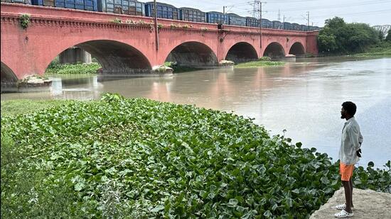 In Ghaziabad, the Hindon passes under a red-brick edifice, which is among the most beautiful railway bridges in the megapolis. A board by the rail tracks displays the bridge’s length (488 meter), but is silent on the year of its built. (HT Photo)