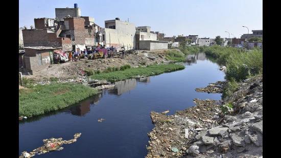 Officials of the municipal corporation (MC), Punjab Pollution Control Board (PPCB) and Punjab Biotechnology Incubator (PBTI) on Friday took 12 water samples from multiple locations along the Buddha Nullah, officials said. (HT File)