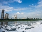 A view of the blue, clean skies and birds flying above the Yamuna river as it flows through Delhi-NCR.