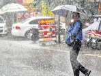 India received 575mm rain up to August 8 this monsoon India received 575mm rain up to August 8 this monsoon