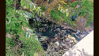 A view of Restaurants and other eateries waste throwing into the nearby Sua at South City road inLudhiana on Saturday, August 10, 2024. (HT Photo) A view of Restaurants and other eateries waste throwing into the nearby Sua at South City road inLudhiana on Saturday, August 10, 2024. (HT Photo)