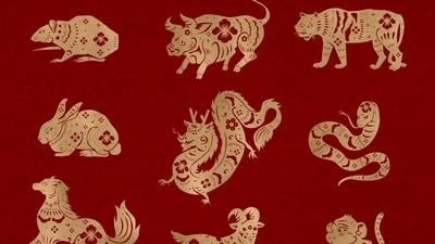 5 Chinese zodiac signs will likely receive luck in love this week from August 12-18, 2024. (Freepik)