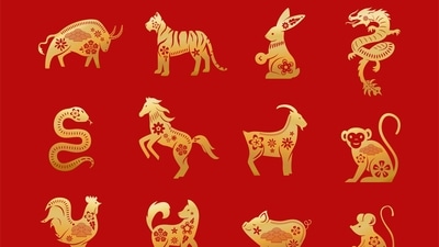 Read your weekly Chinese love horoscope based on your zodiac sign. (Freepik) Read your weekly Chinese love horoscope based on your zodiac sign. (Freepik)