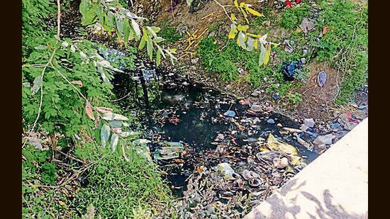 A view of Restaurants and other eateries waste throwing into the nearby Sua at South City road inLudhiana on Saturday, August 10, 2024. (HT Photo)