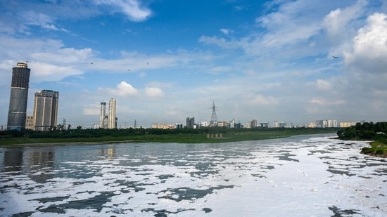 A view of the blue, clean skies and birds flying above the Yamuna river as it flows through Delhi-NCR.(Photo: Sunil Ghosh/HT )