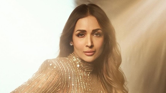 Malaika Arora opened up about her career and family in a new interview.