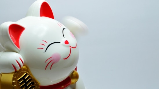 Lucky Chinese zodiac signs from August 12 to 18, 2024. (Pexels)