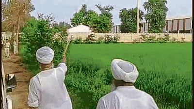 The 12-acre disputed land in Sirsa’s Jiwan Nagar village. (HT Photo)