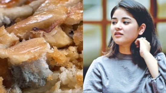 https://www.mobilemasala.com/film-gossip/Dangal-actor-Zaira-Wasim-warns-people-against-stuff-from-local-bakery-after-finding-mold-in-her-pie-Check-twice-i289305