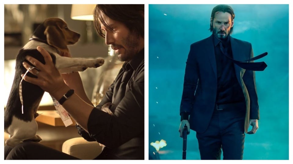 John Wick goes on a killing spree after the death of his pet dog. 