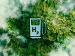 Just 12% of hydrogen plants considered low-carbon because they avoid natural gas or mitigate emissions have customers with agreements to use the fuel, (Shutterstock)