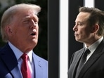 Elon Musk's decision to lift Donald Trump's Twitter ban sparked severe backlash. Elon Musk's decision to lift Donald Trump's Twitter ban sparked severe backlash.